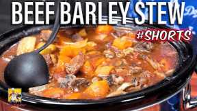 Beef Barley Stew #Shorts